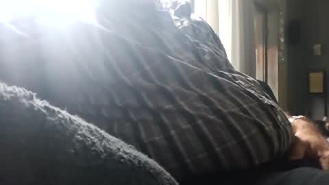 bigbibear88 online show from December 2024 10:17:02 AM