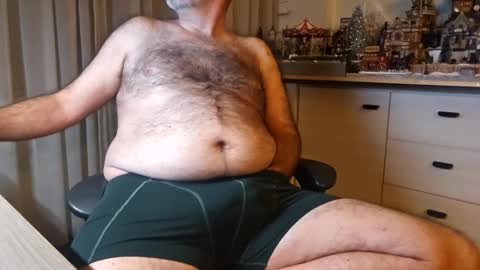 bigbibear88 online show from December 2024 11:30:01 PM
