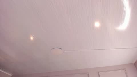   online show from November 2025 10:03:01 AM