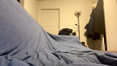 Buster685 online show from November 2025 07:08:01 AM