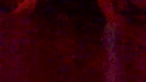 Hunny online show from February 2026 03:10:01 AM