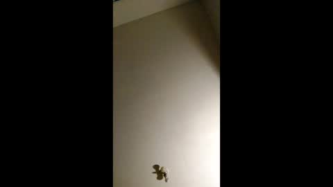 bigchorizo18 online show from April 2026 05:16:01 AM