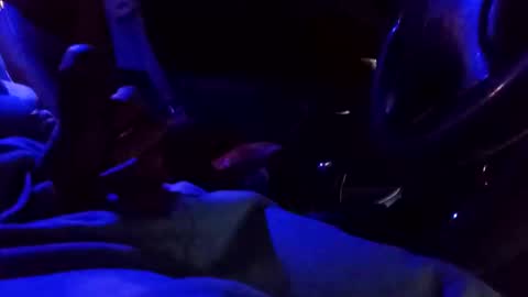 bigdiccbrannn online show from February 2025 12:52:02 PM