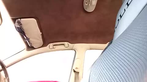 bigdiccbrannn online show from October 2025 05:52:02 AM