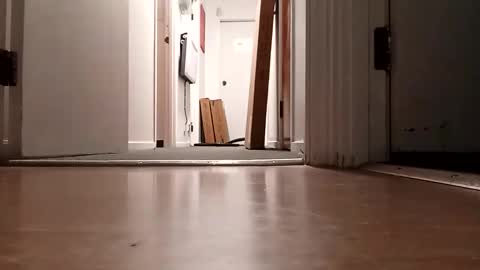 bigdiccbrannn online show from November 2025 10:15:02 AM