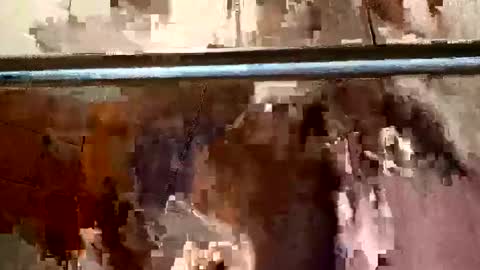 bigdick31589 online show from May 2026 09:27:01 AM