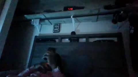 bigdickdaddy3200798456 online show from December 2024 01:08:01 AM