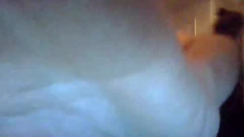 bigdickdaddy7201979564868 online show from September 2025 07:10:02 AM