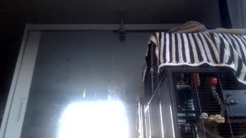 bigdickdangles472924 online show from September 2025 06:08:01 PM