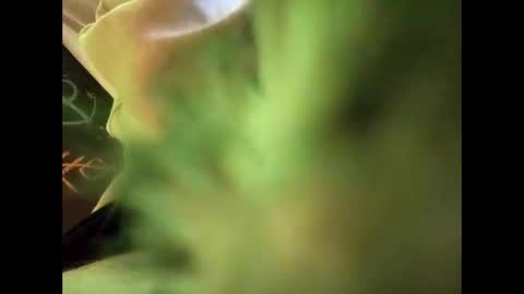 Snapshot of bigdickguy69690 chatting on February 2025 01:11:02 AM bigdickguy69690 online show from February 2025 01:11:02 AM