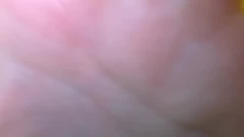 Snapshot of bigdickitalian137 chatting on September 2025 08:35:01 PM bigdickitalian137 online show from September 2025 08:35:01 PM