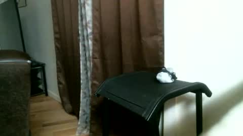 CAJEinc online show from May 2026 12:01:02 PM