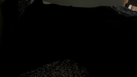 bigdickpapishampoo online show from December 2025 02:00:01 PM