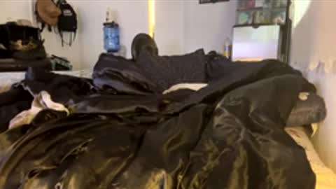 Snapshot of bigdickpapishampoo chatting on February 2026 06:47:02 PM bigdickpapishampoo online show from February 2026 06:47:02 PM