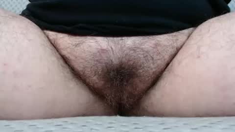 Snapshot of bighairyabby chatting on November 2025 05:01:02 PM Abby online show from November 2025 05:01:02 PM