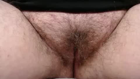 Snapshot of bighairyabby chatting on February 2026 07:15:01 PM Abby online show from February 2026 07:15:01 PM