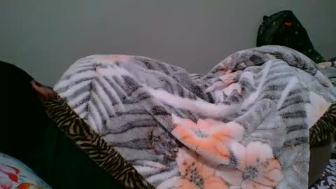 bighandsomesatisfy online show from January 2025 08:18:01 PM