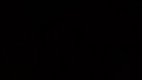 Moe online show from May 2026 01:24:01 AM