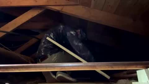 bigjim6646 online show from September 2025 03:02:02 PM