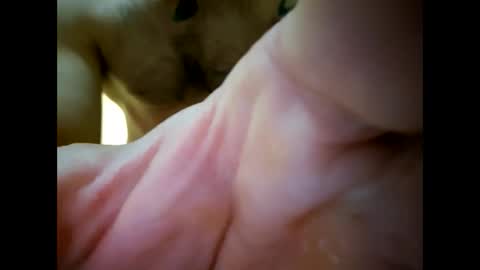 Snapshot of bigjoeyblow chatting on November 2025 06:37:02 AM bigjoeyblow online show from November 2025 06:37:02 AM