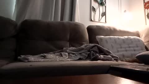 biglk324645168 online show from March 2025 02:56:01 PM