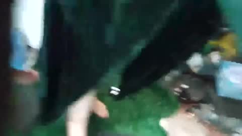 bigmanaround9 online show from September 2025 08:47:01 AM