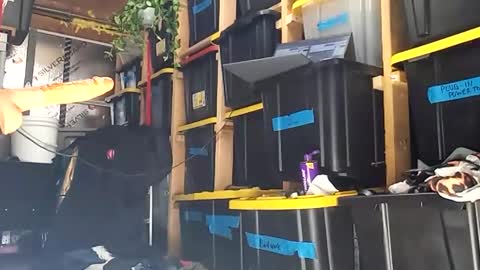 Snapshot of bigmanaround9 chatting on December 2025 08:35:01 PM bigmanaround9 online show from December 2025 08:35:01 PM