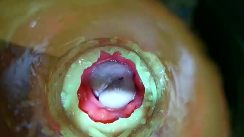 bigmoneycorey online show from March 2026 07:30:01 PM