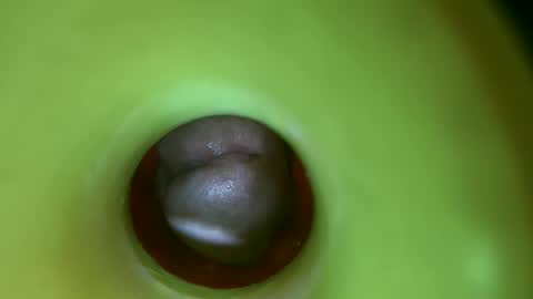 bigmoneycorey online show from March 2026 04:17:02 AM