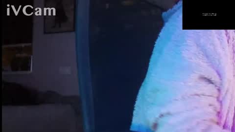 Anton online show from September 2025 03:19:02 AM