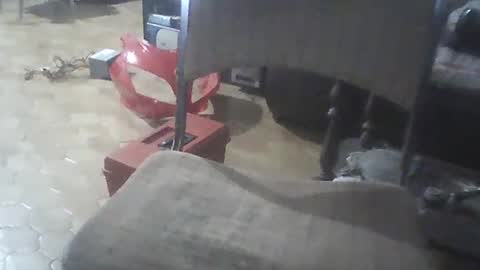 bigpenix online show from December 2024 02:09:02 AM