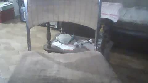 bigpenix online show from December 2024 03:25:02 AM