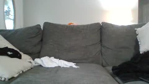 bigpepe7719 online show from July 2026 04:38:01 PM