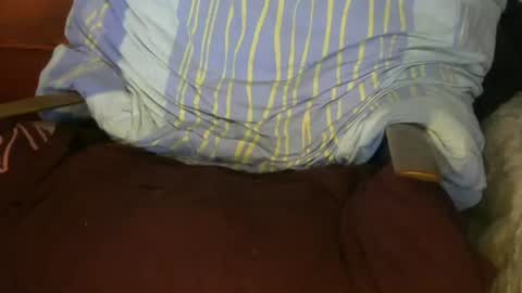 ...... online show from February 2025 07:59:02 AM