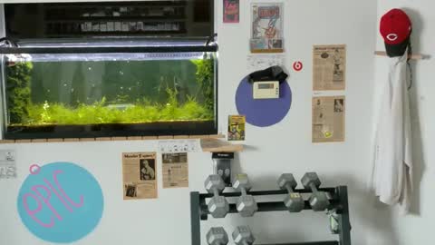 Jarvis online show from February 2025 03:26:01 PM