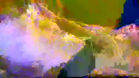 bigrig online show from December 2024 12:16:02 PM