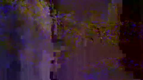 bigrig online show from January 2025 02:59:02 PM