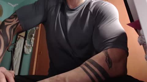 BigStallion online show from February 2026 12:26:01 AM