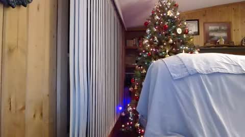 bigthicksatisfying2 online show from January 2025 06:24:02 AM