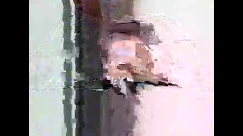 Snapshot of bigtrozo chatting on June 2026 04:29:01 PM bigtrozo online show from June 2026 04:29:01 PM