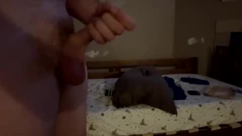 bigwheel999 online show from December 2024 09:23:01 AM