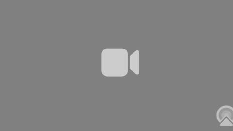 W online show from June 2026 11:31:01 AM