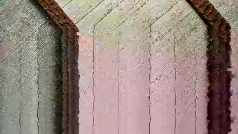 bigwytecock1979 online show from December 2024 04:30:01 PM