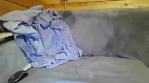 bik40 online show from December 2024 10:59:02 PM