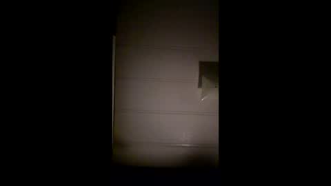 Snapshot of billjangles666 chatting on February 2026 07:28:01 AM Bill online show from February 2026 07:28:01 AM