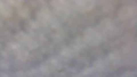 billmenow141 online show from February 2025 10:04:01 AM