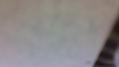 billmenow141 online show from March 2025 10:59:02 AM