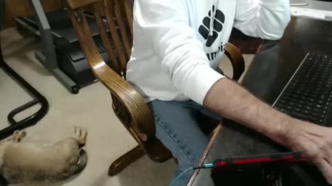 billy471 online show from March 2026 09:33:01 PM