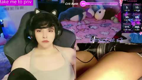 BimboCat online show from February 2026 01:26:01 AM