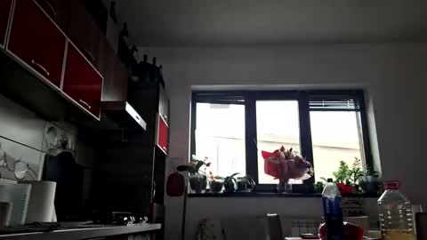 bisexdadd online show from October 2025 12:26:01 PM